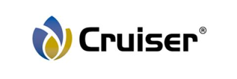 Cruiser 35 FS, Insecticida