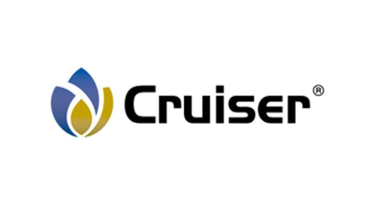 Cruiser 35 FS, Insecticida